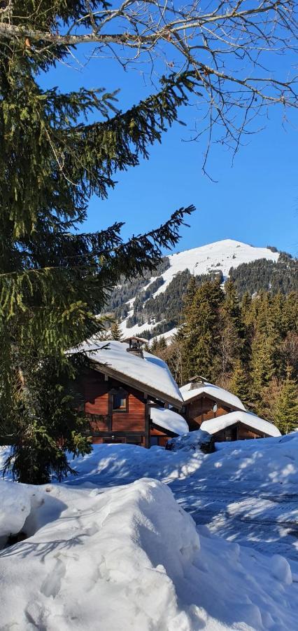 Le Chalet De Nabor لي جيه المظهر الخارجي الصورة