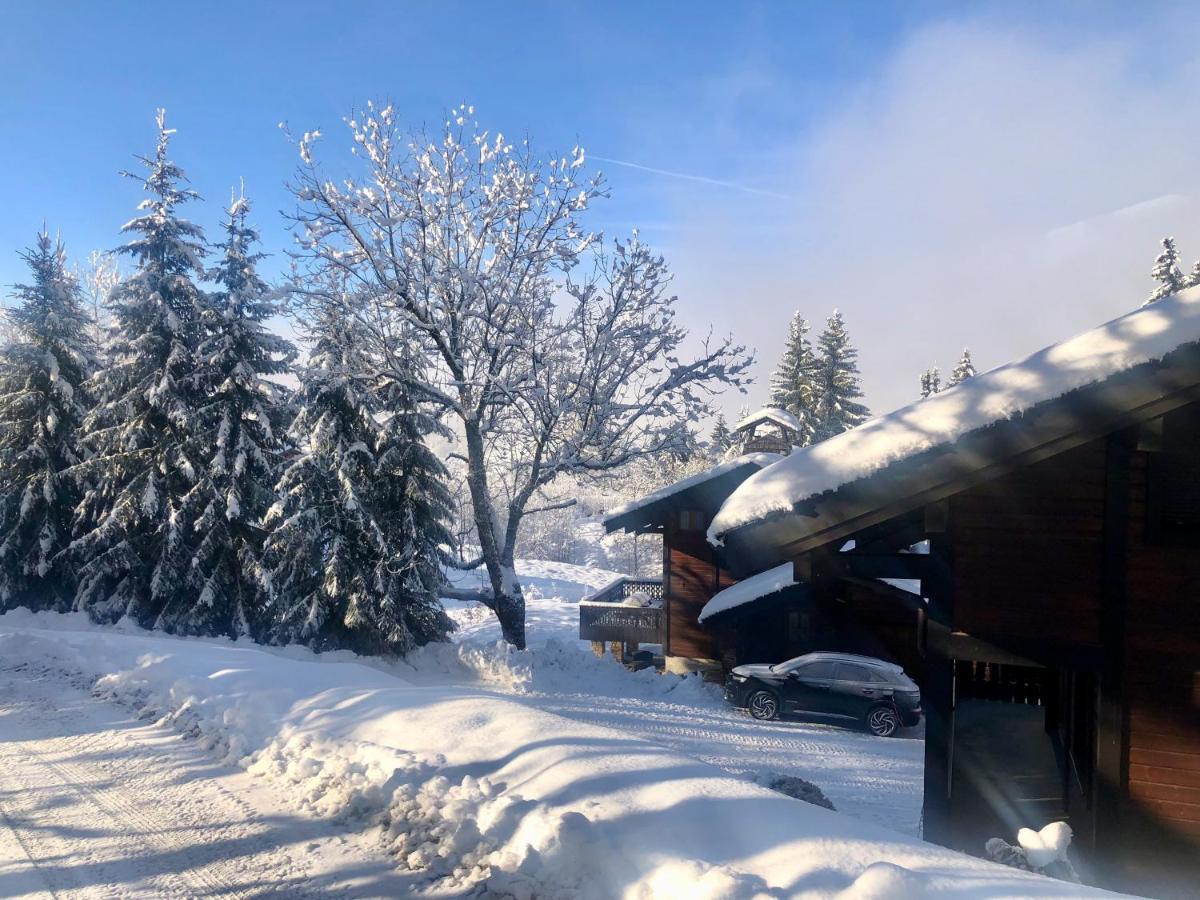 Le Chalet De Nabor لي جيه المظهر الخارجي الصورة