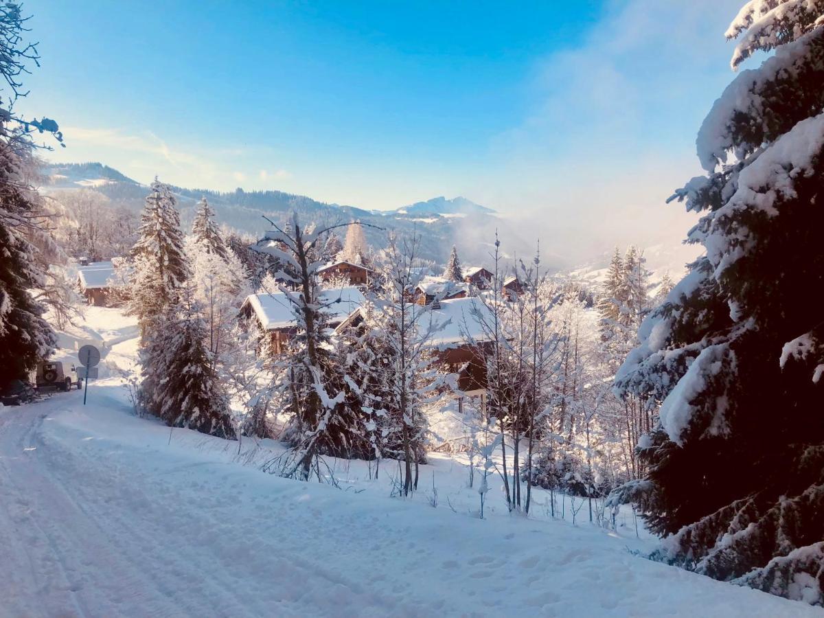Le Chalet De Nabor لي جيه المظهر الخارجي الصورة