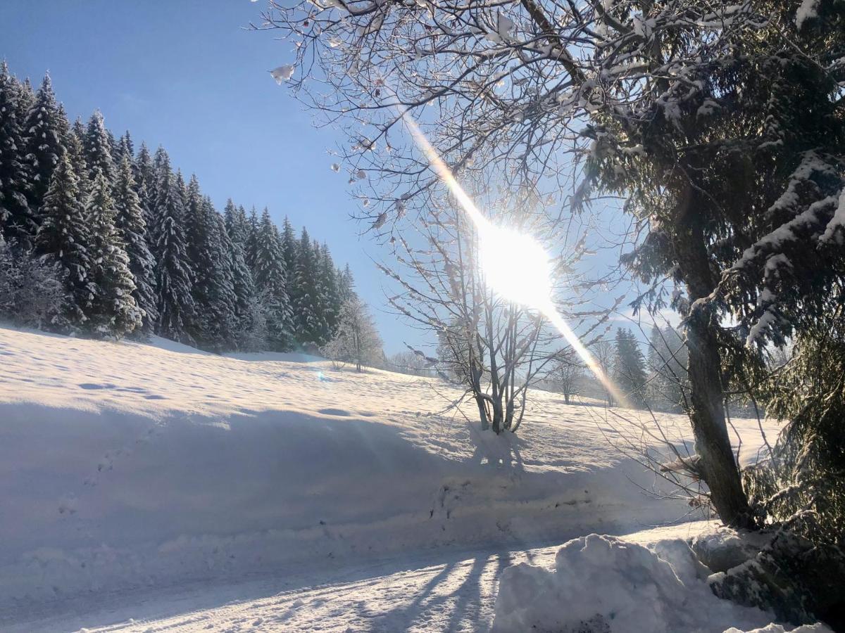 Le Chalet De Nabor لي جيه المظهر الخارجي الصورة